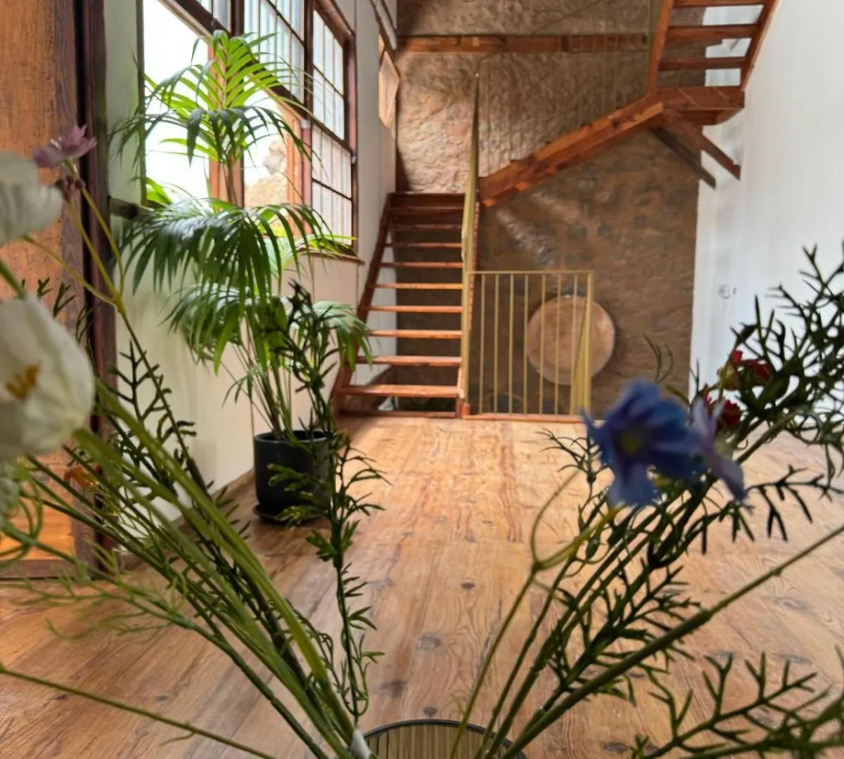 Hotel Laguna Cool Living La Laguna  Spain